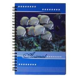 Kołobrulion A5 80k, hard cover