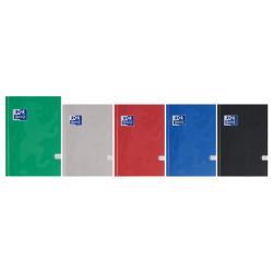 Brulion Esse A4 96k kratka...