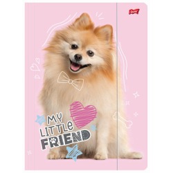 Teczka z gumką A4 300 g/m2...