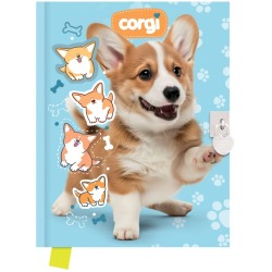 Pamiętnik z kłódką 80k...