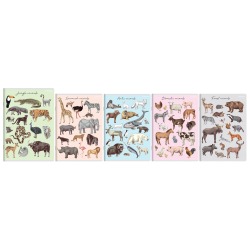 Zeszyt A5 32k podwójna...