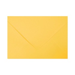 Yellow solar envelopes C6...