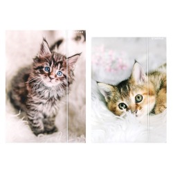 Teczka z gumką A4 Kotki...