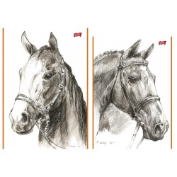 Szkicownik A4 20k Konie...