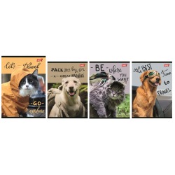 Zeszyt A5 60k linia...