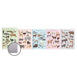 Zeszyt A5 32k podwójna...