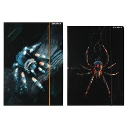 Teczka z gumką A4 Pająk...