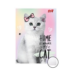 Zeszyt A5 16k gładki mix...