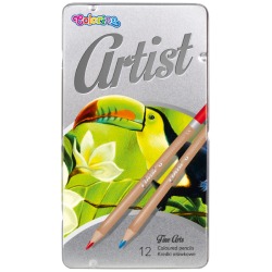 ARTIST 12 color pencils in...