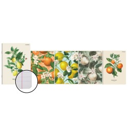 Zeszyt A5 60k linia Summer...