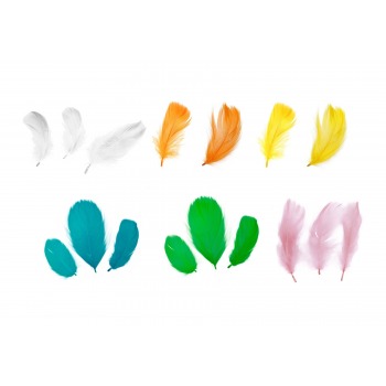 Zierfedern 16 g, 5-12 cm...